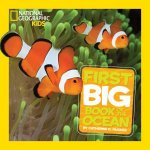 National  Geographic Little Kids  First Big Book Of The Ocean