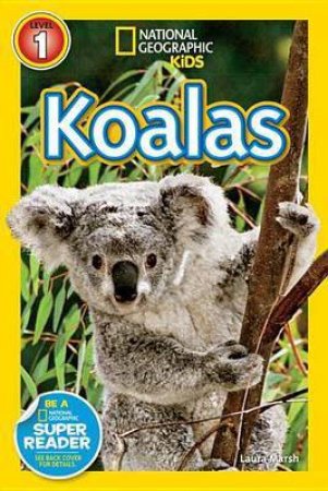  Koalas by Laura Marsh