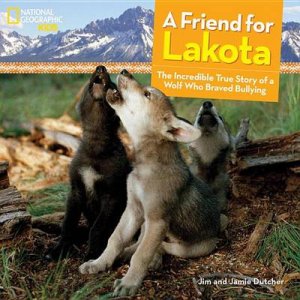 A Friend For Lakota by Jim Dutcher