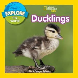 Explore My World Ducklings by Marfe Ferguson