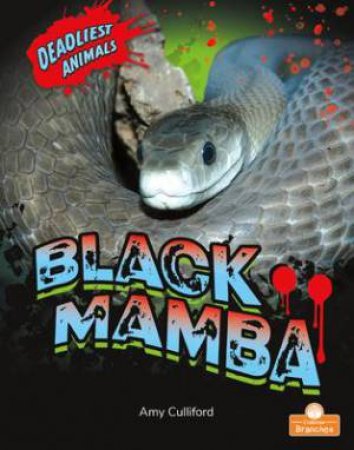 Black Mamba by Amy Culliford