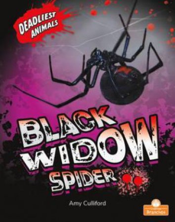 Black Widow Spider by Amy Culliford