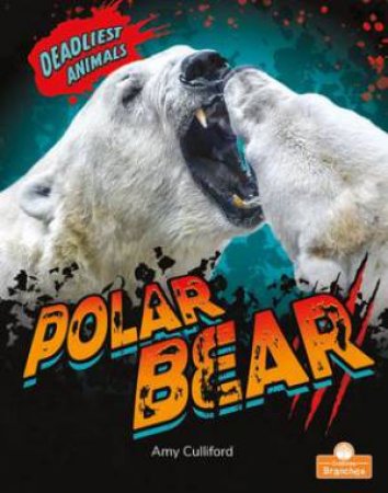 Polar Bear by Amy Culliford