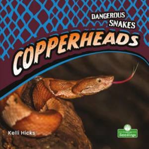 Copperheads by Kelli Hicks