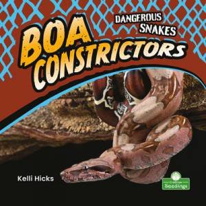 Boa Constrictors by Kelli Hicks