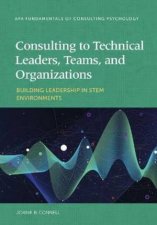 Consulting To Technical Leaders Teams And Organizations