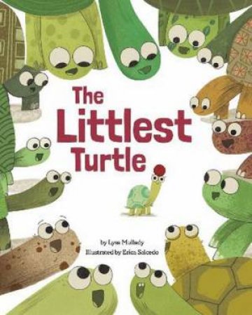 The Littlest Turtle by Lysa Mullady & Erica Salcedo