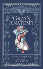 Sterling Leatherbound Classics Grays Anatomy