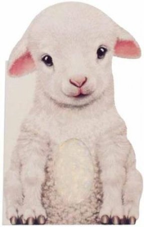 Furry Lamb by Annie Auerbach & Laura Rigo