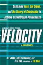 Velocity Combining Lean Six Sigma and the Theory of Constraints to Achieve Breakthrough Performance  A Business Novel