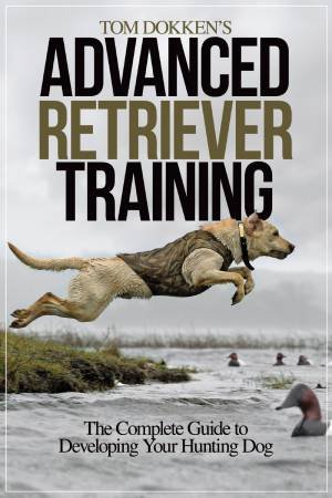 Tom Dokken's Advanced Retriever Training by TOM DOKKEN