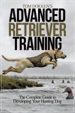 Tom Dokkens Advanced Retriever Training