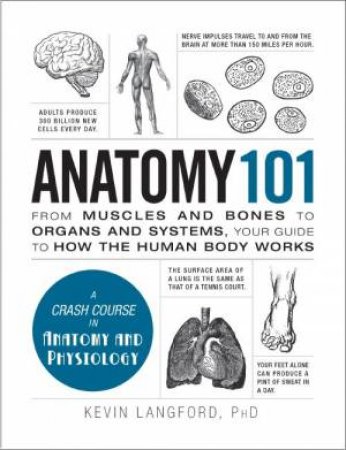 Anatomy 101 by Kevin Langford