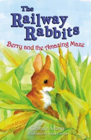 Berry and the Amazing Maze (Railway Rabbits 12) by Georgie Adams