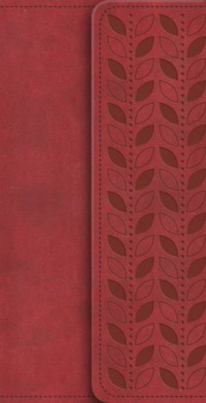 NIV Diary Cherry Soft-tone Bible with Clasp by Various 