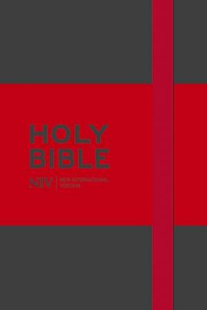 NIV Grey Pocket Notebook Bible by Various 