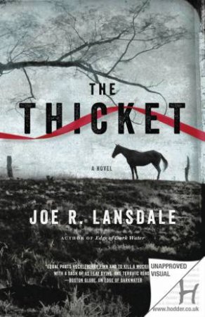 The Thicket by Joe R. Lansdale