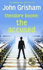 Theodore Boone The Accused