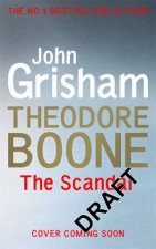 Theodore Boone The Scandal