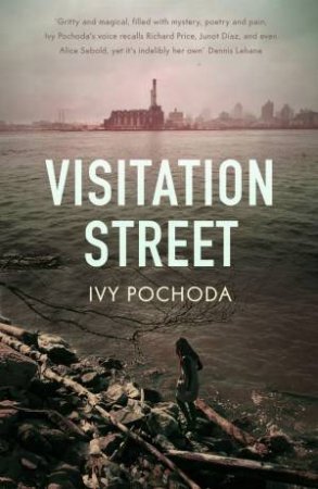 Visitation Street by Ivy Pochoda