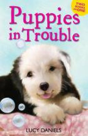 Animal Ark Bind Up Puppies in the Pantry And Puppy in a Puddle by Lucy Daniels