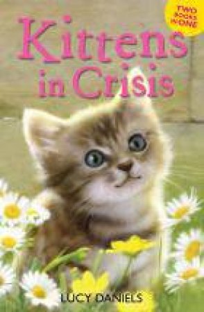 Kittens in Crisis (Tabby in the Tub & Cats in the Caravan) by Lucy Daniels