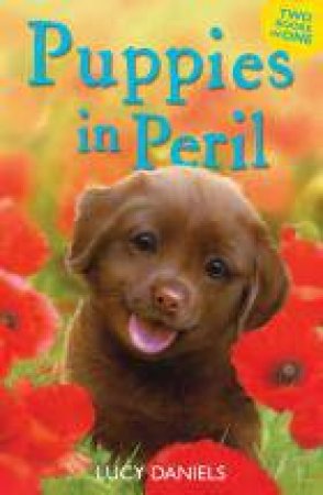 Puppies in Peril (Pup at the Palace & Dog at the Door) by Lucy Daniels