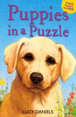 Animal Ark: Puppies in a Puzzle Bind Up by Lucy Daniels