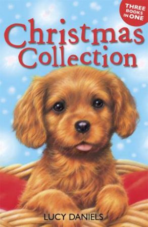 Animal Ark Pets: Christmas Collection (3 in 1) by Lucy Daniels