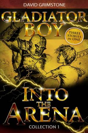 Into the Arena by David Grimstone