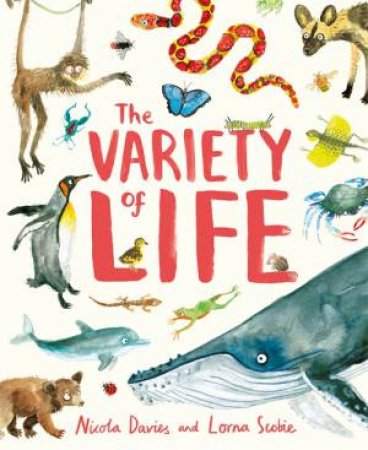 The Variety Of Life by Nicola Davies & Lorna Scobie