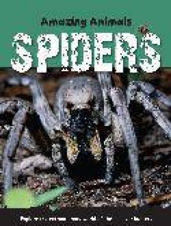 Amazing Animals Spiders by Sally Morgan