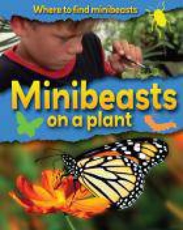 Minibeasts on a Plant by Sarah Ridley