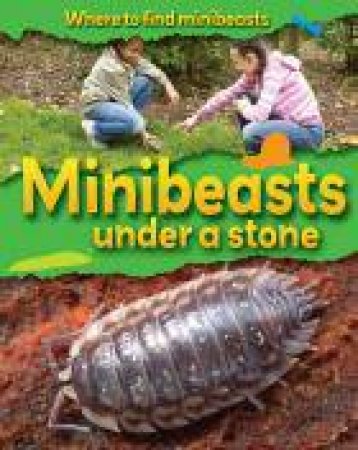 Minibeasts Under a Stone by Sarah Ridley