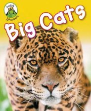 Big Cats