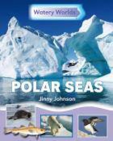 Polar Seas by Jinny Johnson