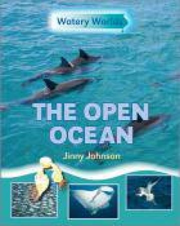 The Open Ocean by Jinny Johnson