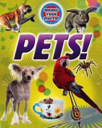 Pets by Moira Butterfield 