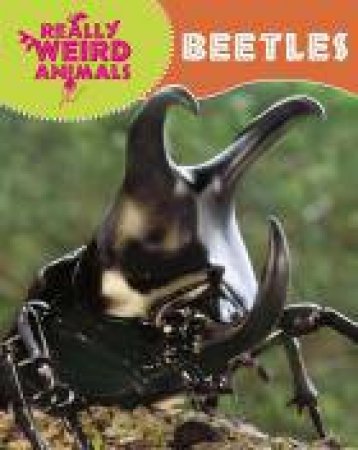 Really Weird Beetles by Clare Hibbert