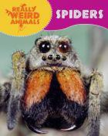 Really Weird Spiders by Clare Hibbert