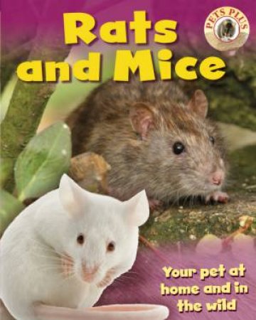 Rats and Mice by Sally Morgan