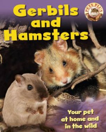 Gerbils and Hamsters by Sally Morgan