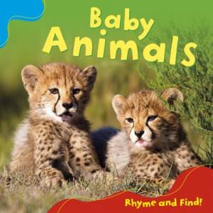 Rhyme And Find: Baby Animals by M.A Palmer