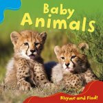 Rhyme And Find Baby Animals