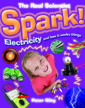 Spark! Electricity and how it works things by Peter Riley