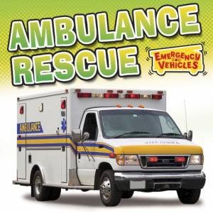 Ambulance Rescue by Deborah Chancellor