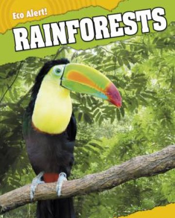 Rainforests by Rebecca Hunter