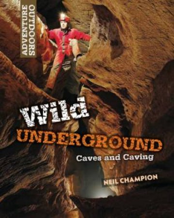 Wild Underground by Neil Champion