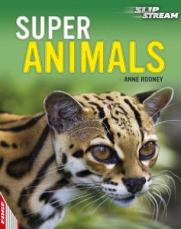 Super Animals by Anne Rooney