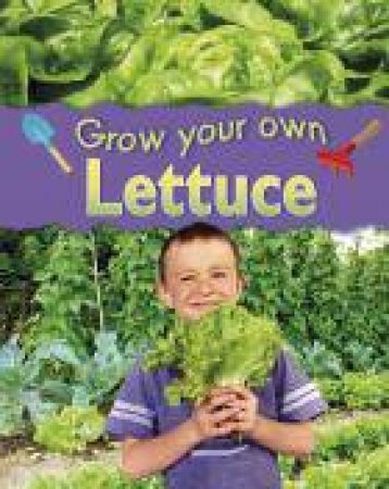 Grow Your Own: Lettuce by Helen Lanz